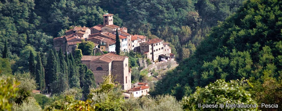 Pietrabuona - Pescia